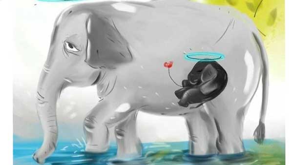 மன்னித்து விடு சகோதரி