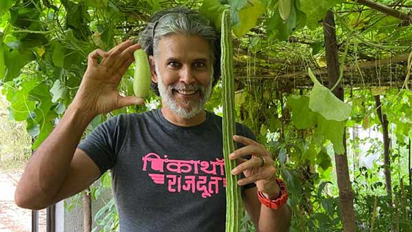 விவசாயி ஆகிவிட்டேன் 