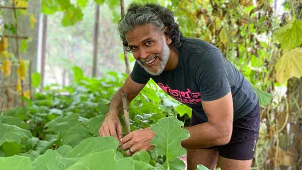 பச்சைக்கிளி முத்துச்சரம் 