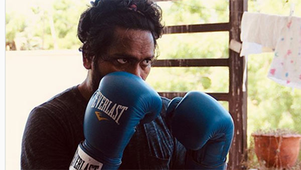 பாக்ஸர் லுக்