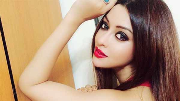 பாலிவுட்டில் கவனம் 