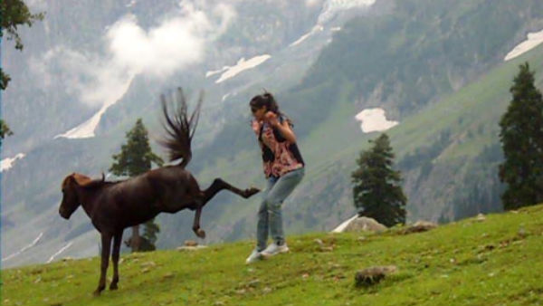 குதிரையிடம் கிக்