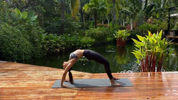 உண்மையான யோகா என்பது