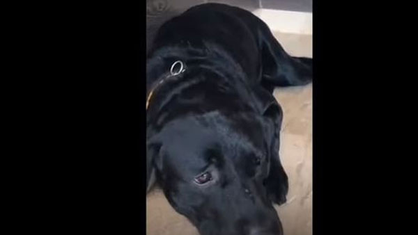 சுஷாந்தின் நினைவுகள் 