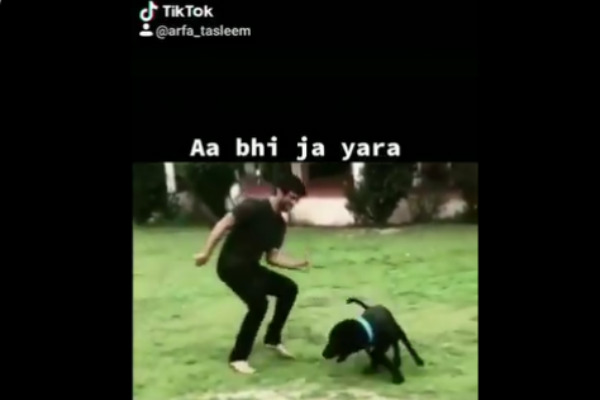 கொஞ்சும் ஃபட்ஜ் 