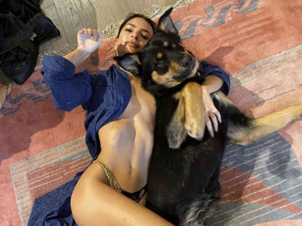 டாக் லவ்வர் 