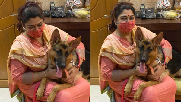 செல்ல நாய் 