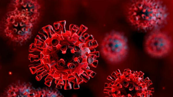 மொத்த எண்ணிக்கை 