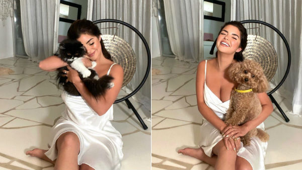 அதுக்கு வந்த யோகத்தை பாருங்க