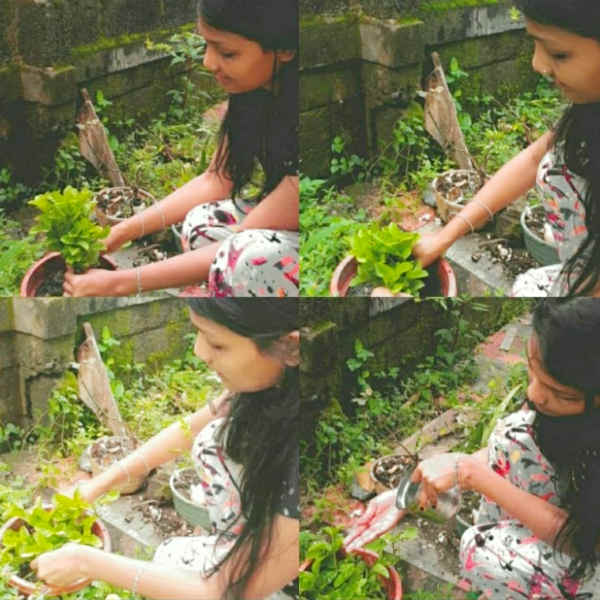 பலரும் பாராட்டு பலரும் பாராட்டு