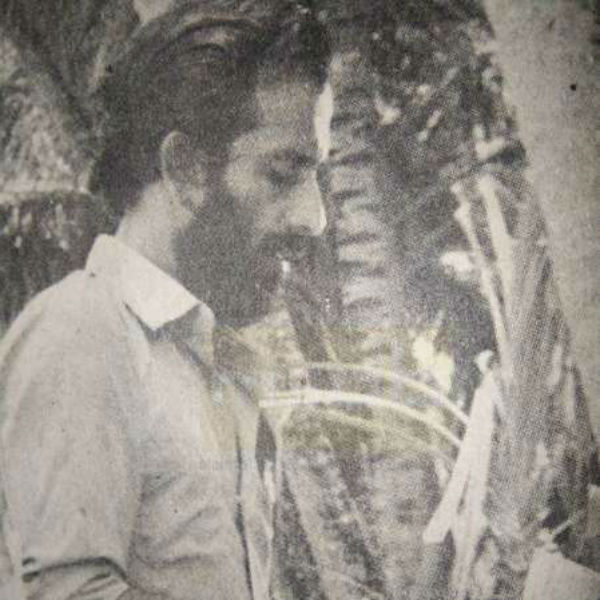 திரைப்பட விழா 