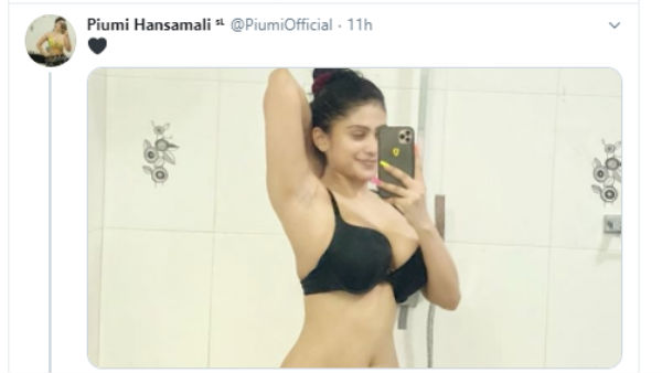 பிளாக் பியூட்டி 