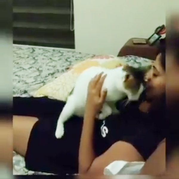 குடியும் கும்மாளமும் 