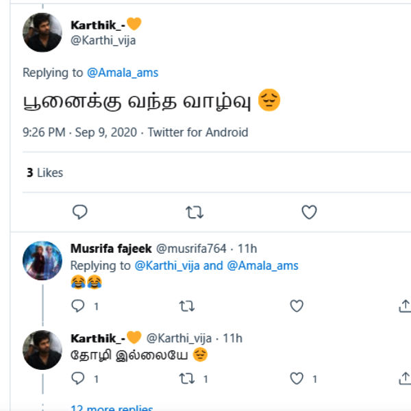 பூனைக்கு வந்த வாழ்வு 