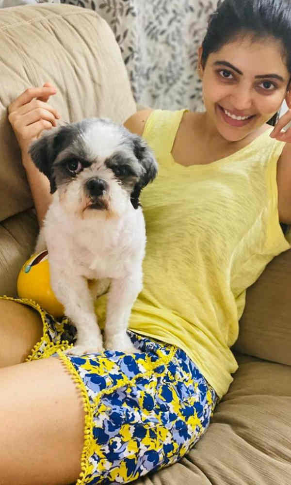 சர்ச்சைகளில் சிக்கினார்