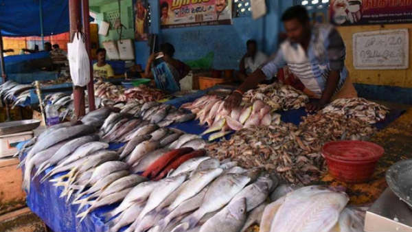 மீன் விற்கும் நடிகர் மீன் விற்கும் நடிகர்