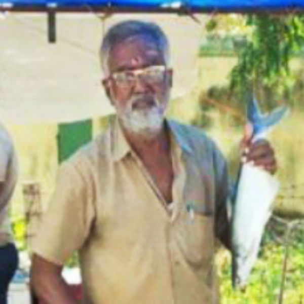 மீன் கடையாக மாற்றி மீன் கடையாக மாற்றி