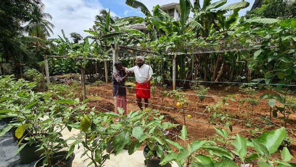 சிரஞ்சீவி நடிப்பில் சிரஞ்சீவி நடிப்பில்