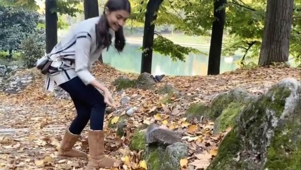 பிரம்மாண்ட திரைப்படம்