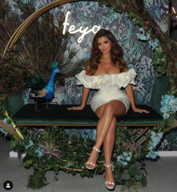 மயில் பொம்மை மயில் பொம்மை