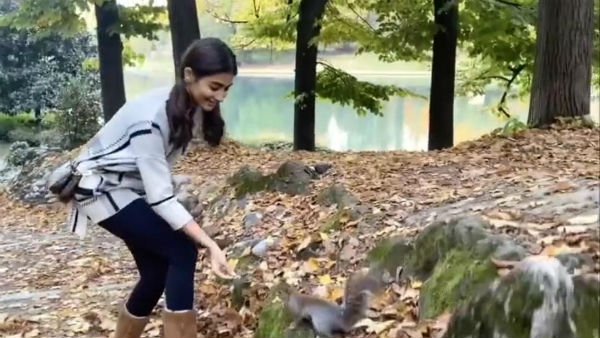  நான்கு முறை தோல்வி