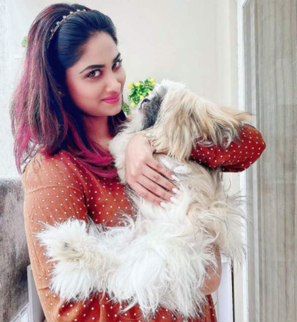 ரசிகர்களை ஒருங்கிணைக்க