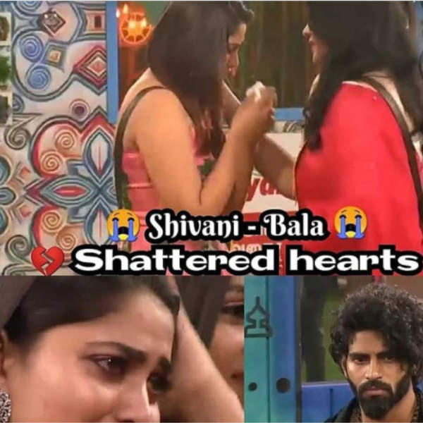 செல்லக்குட்டிஸ்.. 