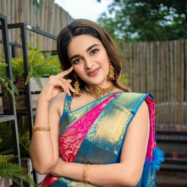 நிதி அகர்வால் 