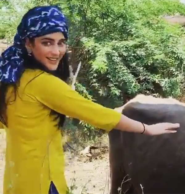 லாபம் என்றால் 