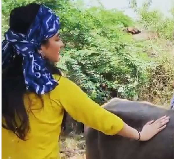 கிளைமாக்ஸ் காட்சி 