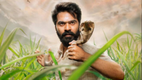 பாம்பு பிடிப்பவர்