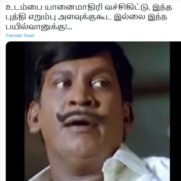 புத்தி எறும்பு அளவுக்குகூட இல்லை 