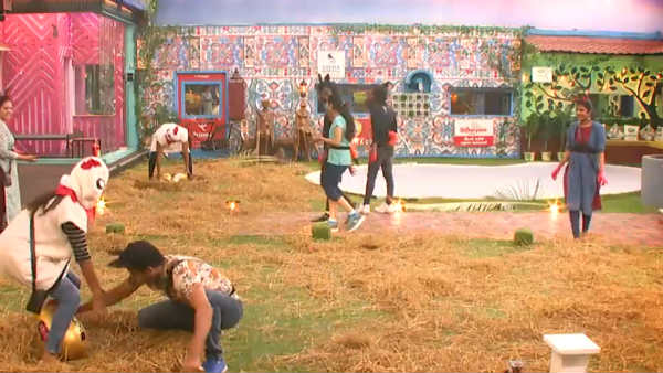 கோழிப்பண்ணையான வீடு 