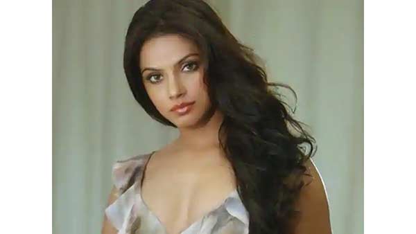 இயக்குனர் கெல்லி 