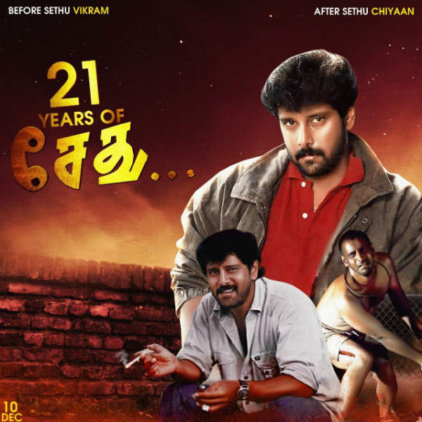 ரசிகர்கள் கொண்டாட்டம்