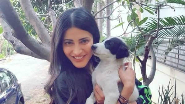 வக்கீல் சாப்