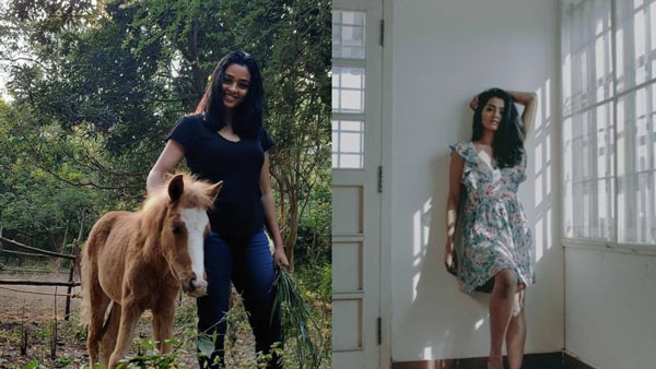 விஜய்சேதுபதியின் படங்களில்