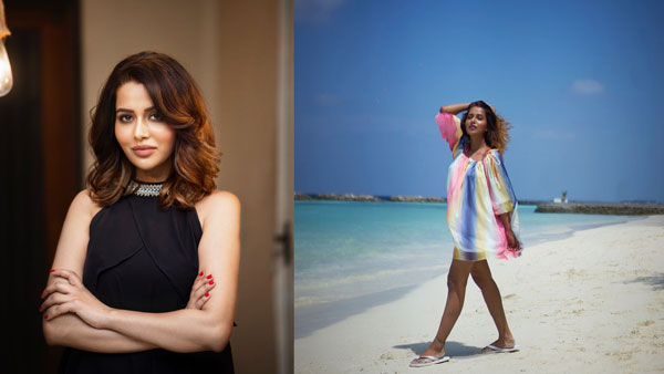 மாடர்ன் ரோல் 