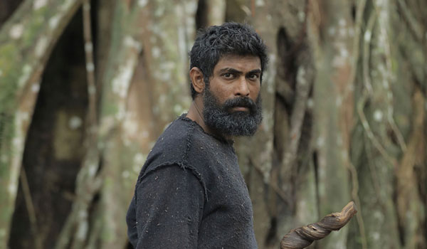 யானை ஊருக்குள் புகவில்லை