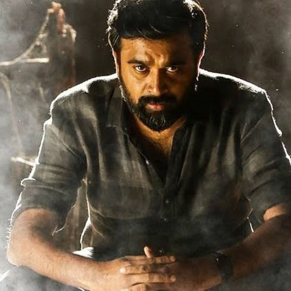 ப்ராண்ட் இவர் மீது உள்ளது 