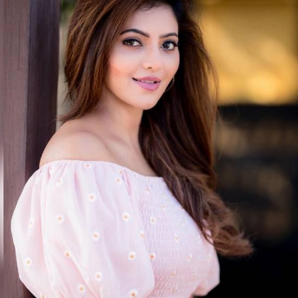 ஏராளமான பார்வையாளர்கள்