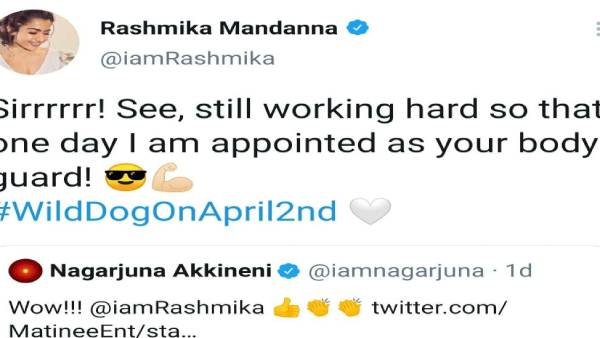 வைல்ட் டாக் புஷ்அப் 