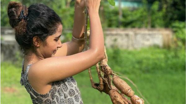 மனியாரயிலே அசோகன் 