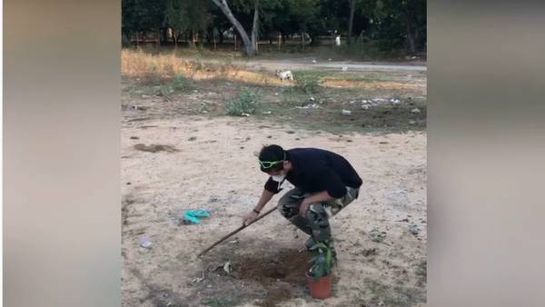 விவேக் நினைவாக மரக்கன்று 