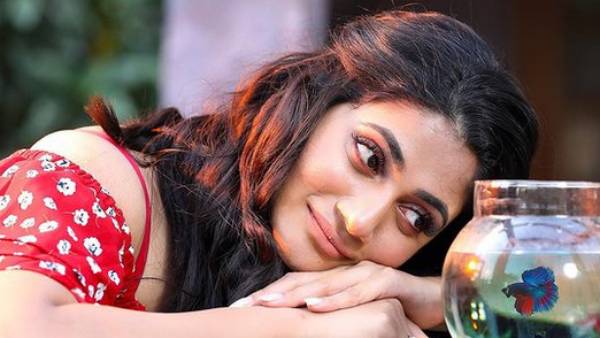 செய்தி வாசிப்பாளராக 