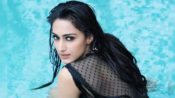 திணிக்கின்றனர் திணிக்கின்றனர்