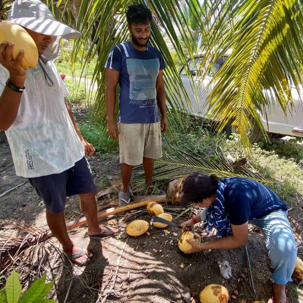 கையில் நெற்கதிர்