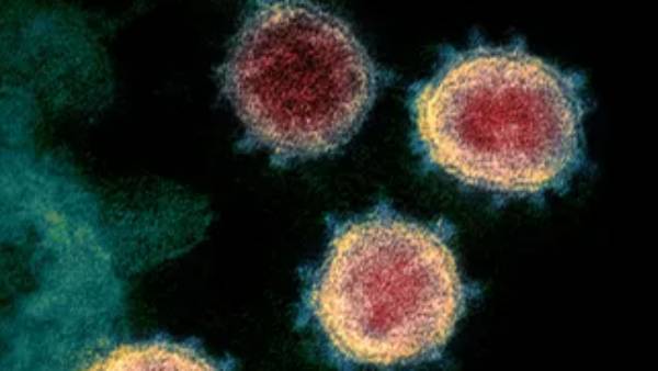 கொரோனாவை கட்டுப்படுத்த