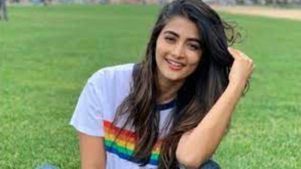 நண்பர்களுக்கு மாம்பழங்கள்