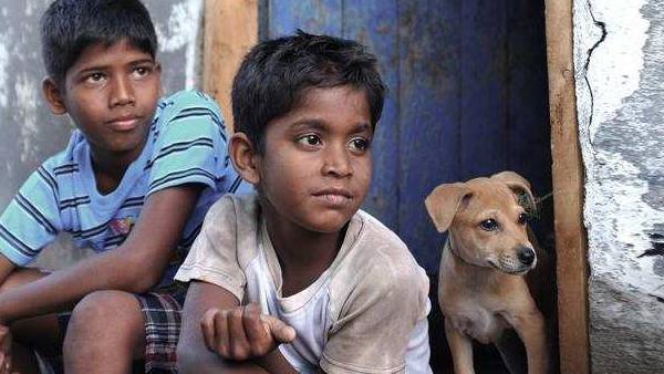 தங்க முட்டை